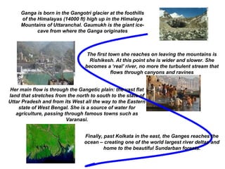 Ganga is born in the Gangotri glacier at the foothills
of the Himalayas (14000 ft) high up in the Himalaya
Mountains of Uttaranchal. Gaumukh is the giant ice-
cave from where the Ganga originates
The first town she reaches on leaving the mountains is
Rishikesh. At this point she is wider and slower. She
becomes a ‘real’ river, no more the turbulent stream that
flows through canyons and ravines
Her main flow is through the Gangetic plain: the vast flat
land that stretches from the north to south to the state of
Uttar Pradesh and from its West all the way to the Eastern
state of West Bengal. She is a source of water for
agriculture, passing through famous towns such as
Varanasi.
Finally, past Kolkata in the east, the Ganges reaches the
ocean – creating one of the world largest river deltas and
home to the beautiful Sundarban forests.
 