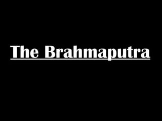 The Brahmaputra
 