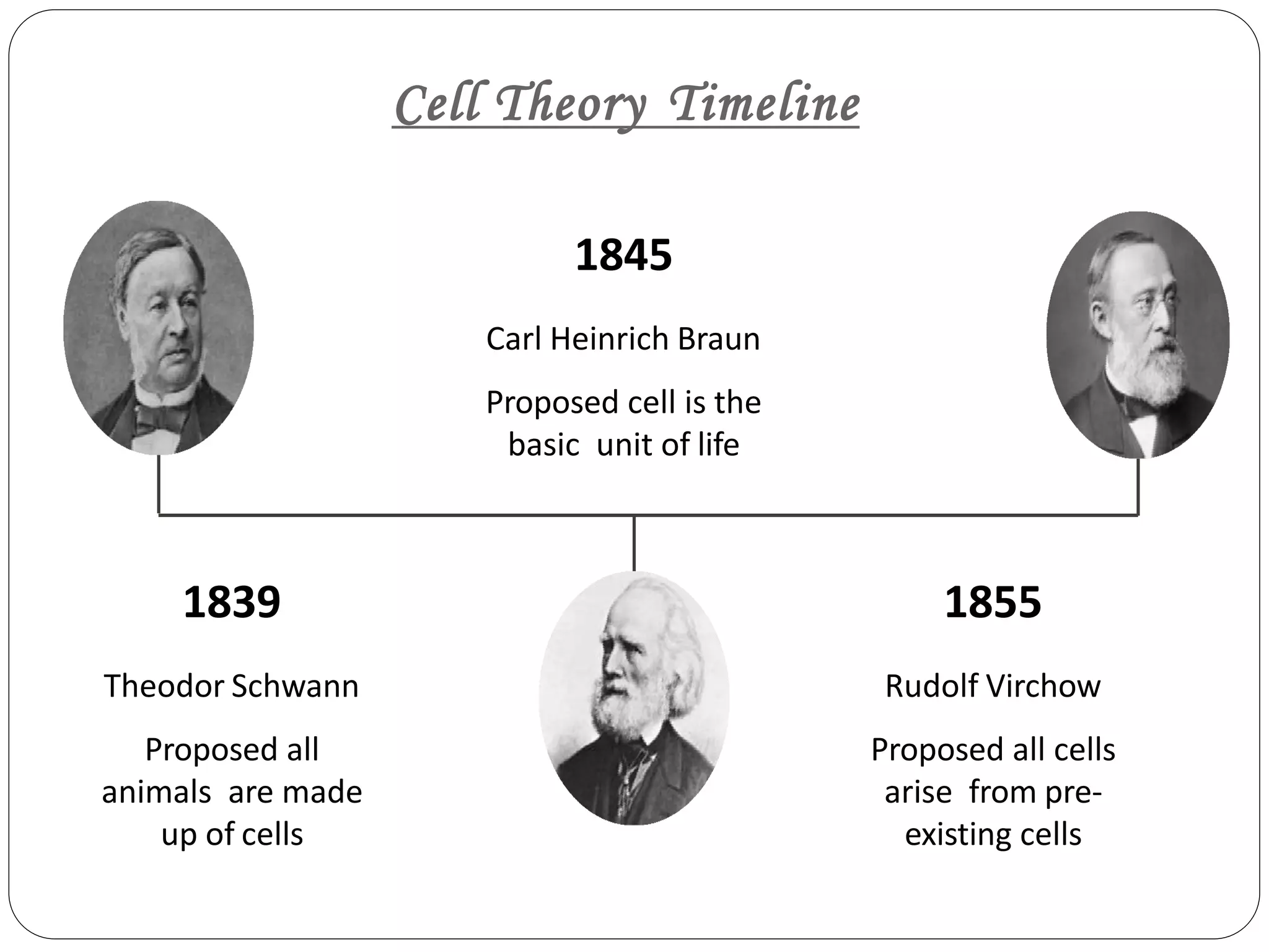 Harsh billore (cell the functional unit of life &amp; cellular organisation ...