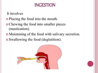 Ingestion Examples Anatomy and physiology of GI system and Diagnostic techniques | PPTX