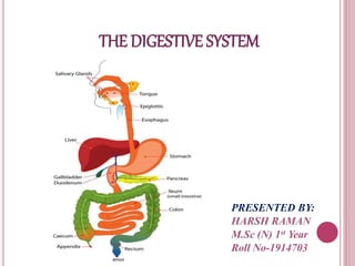 THE DIGESTIVE SYSTEM
PRESENTED BY:
HARSH RAMAN
M.Sc (N) 1st Year
Roll No-1914703
 