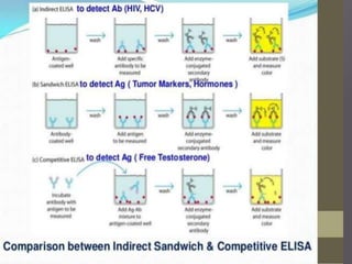 Enzyme Linked Immunosorbent Assay (ELISA) | PPTX