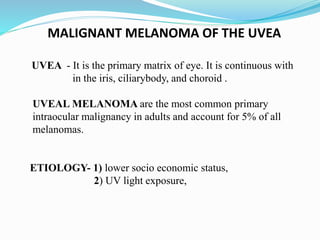 MALIGNANT MELANOMA OF THE UVEA
UVEA - It is the primary matrix of eye. It is continuous with
in the iris, ciliarybody, and choroid .
UVEAL MELANOMA are the most common primary
intraocular malignancy in adults and account for 5% of all
melanomas.
ETIOLOGY- 1) lower socio economic status,
2) UV light exposure,
 