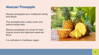 6
Abacaxi Pineapple
Abacaxi pineapples are a traditional variety
from Brazil.
This pineapple has a spiky crown and
yellow-orange flesh.
Abacaxi pineapples are prized for their
tropical aroma and balanced sweet-tart
flavor.
It is cultivated in Caribbean region
 