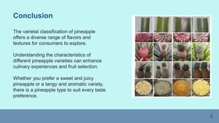 9
Conclusion
The varietal classification of pineapple
offers a diverse range of flavors and
textures for consumers to explore.
Understanding the characteristics of
different pineapple varieties can enhance
culinary experiences and fruit selection.
Whether you prefer a sweet and juicy
pineapple or a tangy and aromatic variety,
there is a pineapple type to suit every taste
preference.
 