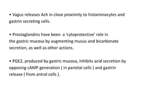 • Vagus releases Ach in close proximity to histaminocytes and
gastrin secreting cells.
• Prostaglandins have been a ‘cytoprotective’ role in
the gastric mucosa by augmenting mucus and bicarbonate
secretion, as well as other actions.
• PGE2, produced by gastric mucosa, inhibits acid secretion by
opposing cAMP generation ( in parietal cells ) and gastrin
release ( from antral cells ).
 