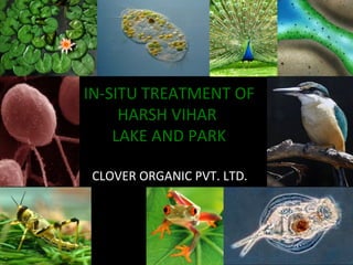 IN-SITU TREATMENT OF
HARSH VIHAR
LAKE AND PARK
CLOVER ORGANIC PVT. LTD.

 