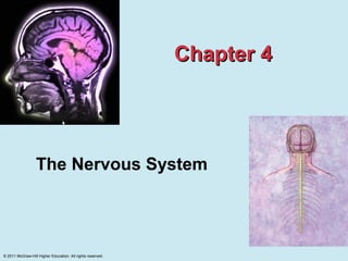 Chapter 4




                  The Nervous System




© 2011 McGraw-Hill Higher Education. All rights reserved.
 