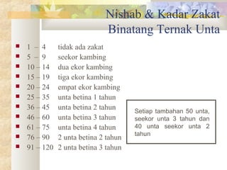 Untuk dikeluarkan 9 unta yang adalah harus ekor 5 kadar sampai zakat Safinatun Najah: