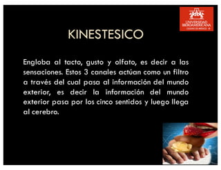KINESTESICO
Engloba al tacto, gusto y olfato, es decir a las
sensaciones. Estos 3 canales actúan como un filtro
a través del cual pasa al información del mundo
exterior, es decir la información del mundo
exterior pasa por los cinco sentidos y luego llega
al cerebro.
 
