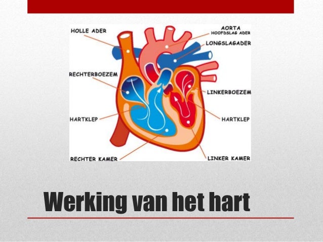 Hart en vaatziekten