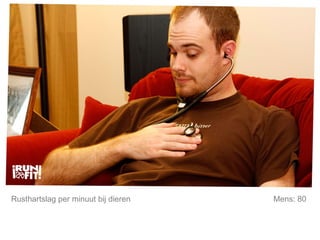 Mijn lijfstijl is mijn keuze. Rusthartslag per minuut bij dieren Mens: 80  
