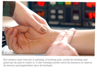 Mijn lijfstijl is mijn keuze. Een andere naam hiervoor is polsslag, of kortweg pols, omdat de hartslag zeer goed aan de pols te meten is. In één hartslag worden eerst de boezems en daarna de kamers samengetrokken door de hartspier.  