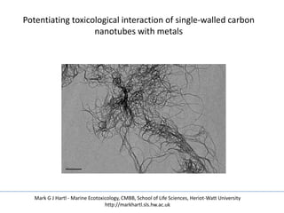 Potentiating toxicological interaction of single-walled carbon
                   nanotubes with metals




   Mark G J Hartl - Marine Ecotoxicology, CMBB, School of Life Sciences, Heriot-Watt University
                                  http://markhartl.sls.hw.ac.uk
 