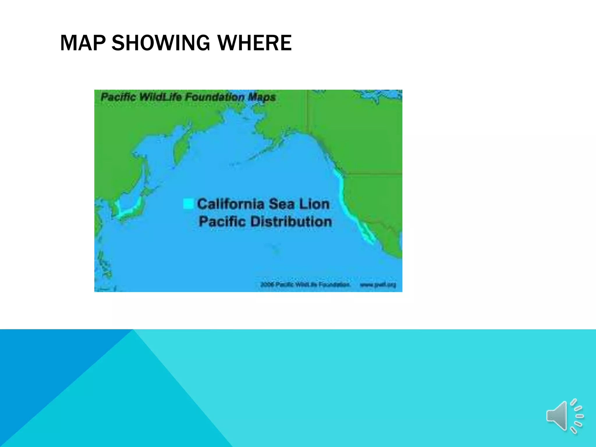 Hartman Sealion PPT hartman-sealion-ppt