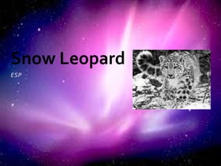 ESP
Snow Leopard
 