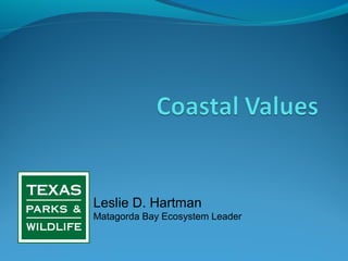 Leslie D. Hartman
Matagorda Bay Ecosystem Leader
 