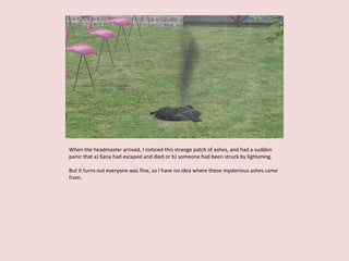 When the headmaster arrived, I noticed this strange patch of ashes, and had a sudden
panic that a) Kana had escaped and died or b) someone had been struck by lightening.
But it turns out everyone was fine, so I have no idea where these mysterious ashes came
from.
 