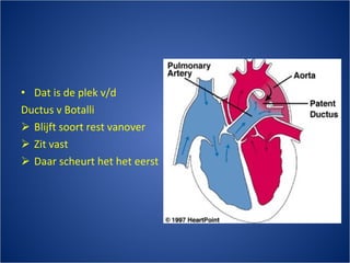 Dat is de plek v/d Ductus v Botalli Blijft soort rest vanover Zit vast Daar scheurt het het eerst 