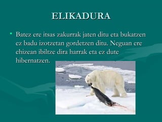 ELIKADURAELIKADURA
• Batez ere itsas zakurrak jaten ditu eta bukatzenBatez ere itsas zakurrak jaten ditu eta bukatzen
ez badu izotzetan gordetzen ditu. Neguan ereez badu izotzetan gordetzen ditu. Neguan ere
ehizean ibiltze dira harrak eta ez duteehizean ibiltze dira harrak eta ez dute
hibernatzen.hibernatzen.
 