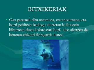 BITXIKERIAKBITXIKERIAK
• Oso garatuak ditu usaimena, eta entzumena, etaOso garatuak ditu usaimena, eta entzumena, eta
horri gehitzen badiogu elurretan ia ikusezinhorri gehitzen badiogu elurretan ia ikusezin
bihurtzen duen kolore zuri hori, aise ulertzen dabihurtzen duen kolore zuri hori, aise ulertzen da
benetan ehiztari ikaragarria izatea.benetan ehiztari ikaragarria izatea.
 