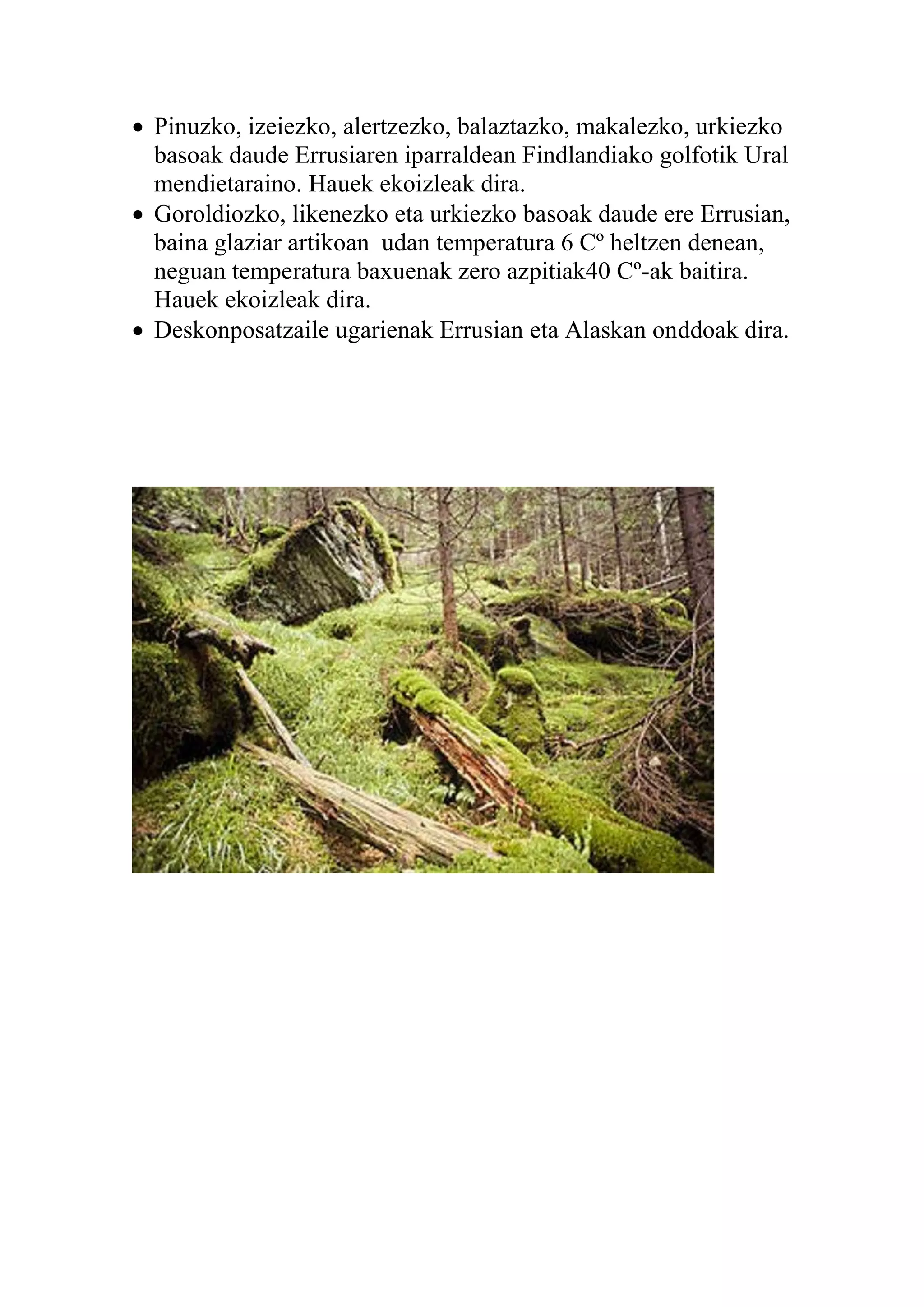  Pinuzko, izeiezko, alertzezko, balaztazko, makalezko, urkiezko
basoak daude Errusiaren iparraldean Findlandiako golfotik Ural
mendietaraino. Hauek ekoizleak dira.
 Goroldiozko, likenezko eta urkiezko basoak daude ere Errusian,
baina glaziar artikoan udan temperatura 6 Cº heltzen denean,
neguan temperatura baxuenak zero azpitiak40 Cº-ak baitira.
Hauek ekoizleak dira.
 Deskonposatzaile ugarienak Errusian eta Alaskan onddoak dira.
 