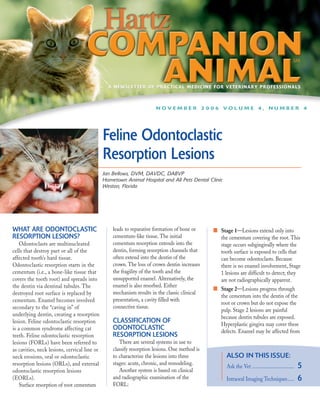 A NEWSLETTER OF PRACTICAL MEDICINE FOR VETERINARY PROFESSIONALS



                                                                      NOVEMBER 2006 VOLUME 4, NUMBER 4




                                              Feline Odontoclastic
                                              Resorption Lesions
                                              Jan Bellows, DVM, DAVDC, DABVP
                                              Hometown Animal Hospital and All Pets Dental Clinic
                                              Weston, Florida




WHAT ARE ODONTOCLASTIC                            leads to reparative formation of bone or     s   Stage 1—Lesions extend only into
RESORPTION LESIONS?                               cementum-like tissue. The initial                the cementum covering the root. This
    Odontoclasts are multinucleated               cementum resorption extends into the             stage occurs subgingivally where the
cells that destroy part or all of the             dentin, forming resorption channels that         tooth surface is exposed to cells that
affected tooth’s hard tissue.                     often extend into the dentin of the              can become odontoclasts. Because
Odontoclastic resorption starts in the            crown. The loss of crown dentin increases        there is no enamel involvement, Stage
cementum (i.e., a bone-like tissue that           the fragility of the tooth and the               1 lesions are difficult to detect; they
covers the tooth root) and spreads into           unsupported enamel. Alternatively, the           are not radiographically apparent.
the dentin via dentinal tubules. The              enamel is also resorbed. Either              s   Stage 2—Lesions progress through
destroyed root surface is replaced by             mechanism results in the classic clinical
                                                                                                   the cementum into the dentin of the
cementum. Enamel becomes involved                 presentation, a cavity filled with
                                                                                                   root or crown but do not expose the
secondary to the “caving in” of                   connective tissue.
                                                                                                   pulp. Stage 2 lesions are painful
underlying dentin, creating a resorption                                                           because dentin tubules are exposed.
lesion. Feline odontoclastic resorption           CLASSIFICATION OF                                Hyperplastic gingiva may cover these
is a common syndrome affecting cat                ODONTOCLASTIC                                    defects. Enamel may be affected from
teeth. Feline odontoclastic resorption            RESORPTION LESIONS
lesions (FORLs) have been referred to                There are several systems in use to
as cavities, neck lesions, cervical line or       classify resorption lesions. One method is
neck erosions, oral or odontoclastic              to characterize the lesions into three             ALSO IN THIS ISSUE:
resorption lesions (ORLs), and external           stages: acute, chronic, and remodeling.
                                                     Another system is based on clinical
                                                                                                     Ask the Vet ................................   5
odontoclastic resorption lesions
(EORLs).                                          and radiographic examination of the                Intraoral Imaging Techniques.....              6
    Surface resorption of root cementum           FORL:
 