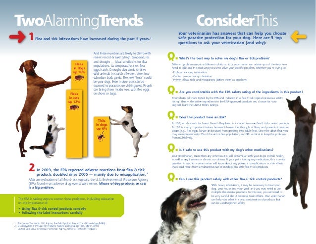 Best Flea Control In Dogs Best Flea Control In Dogs