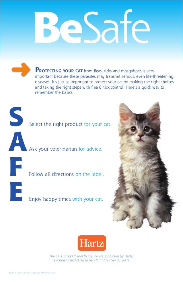 Hartz SAFE cat poster