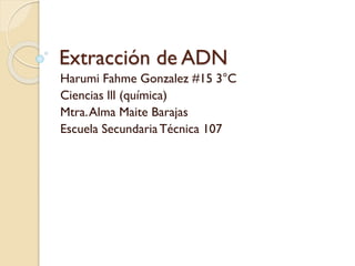 Extracción de ADN
Harumi Fahme Gonzalez #15 3°C
Ciencias lll (química)
Mtra.Alma Maite Barajas
Escuela SecundariaTécnica 107
 
