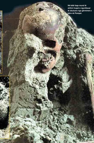 Në këtë faqe mund të 
shihni trupat e ngurtësuar 
të zbuluara nga gërmimet e 
bëra në Pompei. 
 