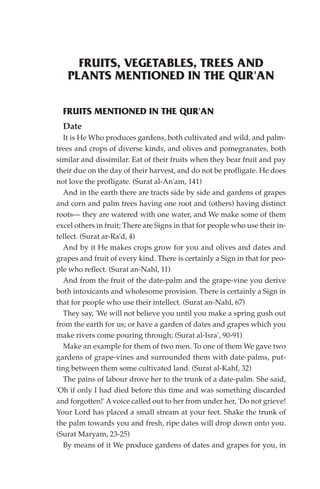 FRUITS, VEGETABLES, TREES AND
   PLANTS MENTIONED IN THE QUR'AN

  FRUITS MENTIONED IN THE QUR'AN
  Date
  It is He Who produces gardens, both cultivated and wild, and palm-
trees and crops of diverse kinds, and olives and pomegranates, both
similar and dissimilar. Eat of their fruits when they bear fruit and pay
their due on the day of their harvest, and do not be profligate. He does
not love the profligate. (Surat al-An'am, 141)
  And in the earth there are tracts side by side and gardens of grapes
and corn and palm trees having one root and (others) having distinct
roots— they are watered with one water, and We make some of them
excel others in fruit; There are Signs in that for people who use their in-
tellect. (Surat ar-Ra'd, 4)
  And by it He makes crops grow for you and olives and dates and
grapes and fruit of every kind. There is certainly a Sign in that for peo-
ple who reflect. (Surat an-Nahl, 11)
  And from the fruit of the date-palm and the grape-vine you derive
both intoxicants and wholesome provision. There is certainly a Sign in
that for people who use their intellect. (Surat an-Nahl, 67)
  They say, 'We will not believe you until you make a spring gush out
from the earth for us; or have a garden of dates and grapes which you
make rivers come pouring through; (Surat al-Isra', 90-91)
  Make an example for them of two men. To one of them We gave two
gardens of grape-vines and surrounded them with date-palms, put-
ting between them some cultivated land. (Surat al-Kahf, 32)
  The pains of labour drove her to the trunk of a date-palm. She said,
'Oh if only I had died before this time and was something discarded
and forgotten!' A voice called out to her from under her, 'Do not grieve!
Your Lord has placed a small stream at your feet. Shake the trunk of
the palm towards you and fresh, ripe dates will drop down onto you.
(Surat Maryam, 23-25)
  By means of it We produce gardens of dates and grapes for you, in
 