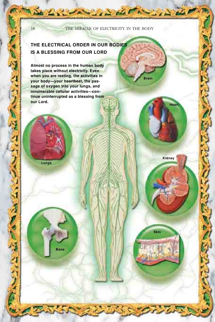 Harun Yahya Islam The Miracle Of Electricity In Body
