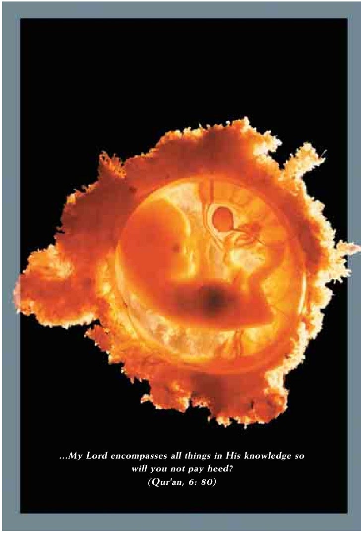 Harun Yahya Islam   The Miracle Of Human Creation slideshare