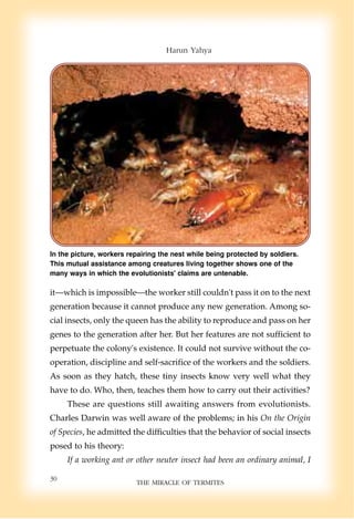 Harun Yahya Islam The Miracle Of Termites | PDF