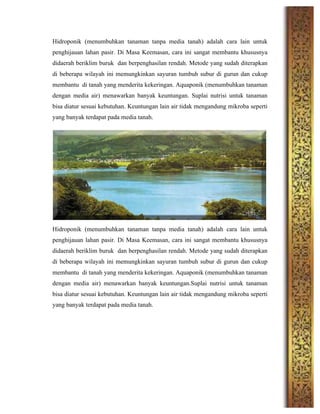 Hidroponik (menumbuhkan tanaman tanpa media tanah) adalah cara lain untuk
penghijauan lahan pasir. Di Masa Keemasan, cara ini sangat membantu khususnya
didaerah beriklim buruk dan berpenghasilan rendah. Metode yang sudah diterapkan
di beberapa wilayah ini memungkinkan sayuran tumbuh subur di gurun dan cukup
membantu di tanah yang menderita kekeringan. Aquaponik (menumbuhkan tanaman
dengan media air) menawarkan banyak keuntungan. Suplai nutrisi untuk tanaman
bisa diatur sesuai kebutuhan. Keuntungan lain air tidak mengandung mikroba seperti
yang banyak terdapat pada media tanah.
	
  
	
  
	
  
	
  
	
  
	
  
Hidroponik (menumbuhkan tanaman tanpa media tanah) adalah cara lain untuk
penghijauan lahan pasir. Di Masa Keemasan, cara ini sangat membantu khususnya
didaerah beriklim buruk dan berpenghasilan rendah. Metode yang sudah diterapkan
di beberapa wilayah ini memungkinkan sayuran tumbuh subur di gurun dan cukup
membantu di tanah yang menderita kekeringan. Aquaponik (menumbuhkan tanaman
dengan media air) menawarkan banyak keuntungan.Suplai nutrisi untuk tanaman
bisa diatur sesuai kebutuhan. Keuntungan lain air tidak mengandung mikroba seperti
yang banyak terdapat pada media tanah.
	
  
	
  
	
  
	
  
 