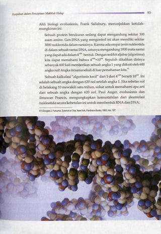 HARUN YAHYA : RANTAI KEAJAIBAN