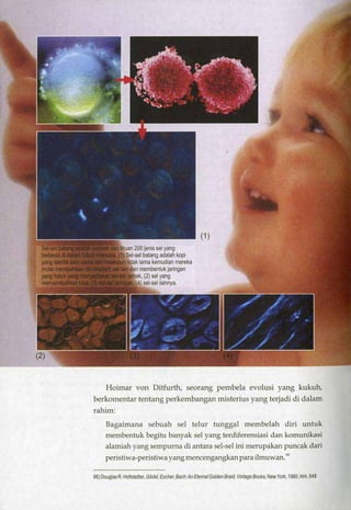 HARUN YAHYA : RANTAI KEAJAIBAN