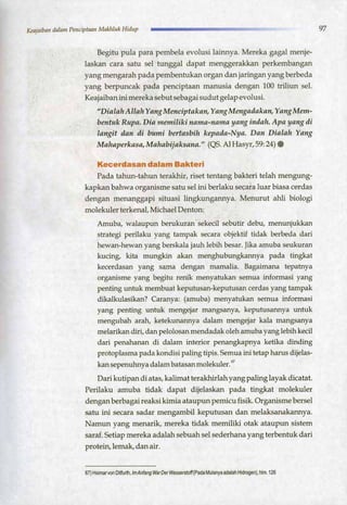 HARUN YAHYA : RANTAI KEAJAIBAN