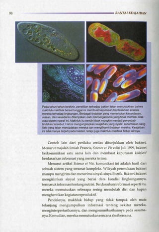 HARUN YAHYA : RANTAI KEAJAIBAN