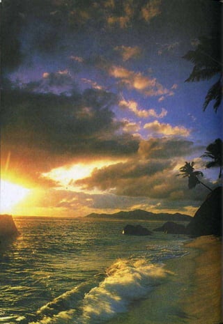 HARUN YAHYA : RANTAI KEAJAIBAN