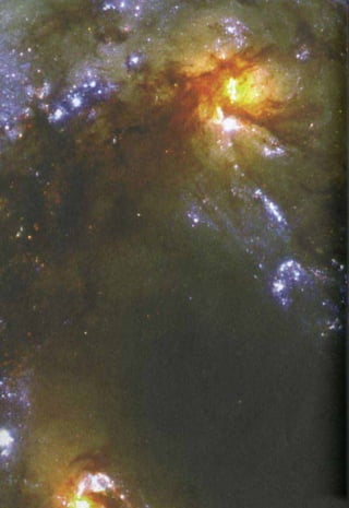 HARUN YAHYA : RANTAI KEAJAIBAN