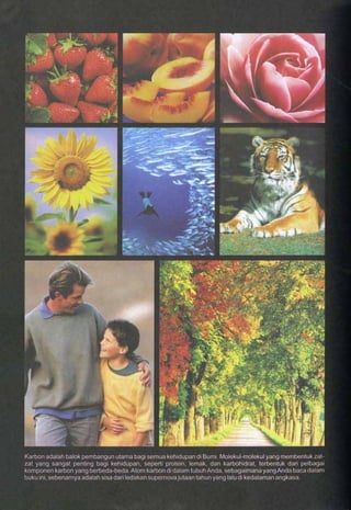 HARUN YAHYA : RANTAI KEAJAIBAN