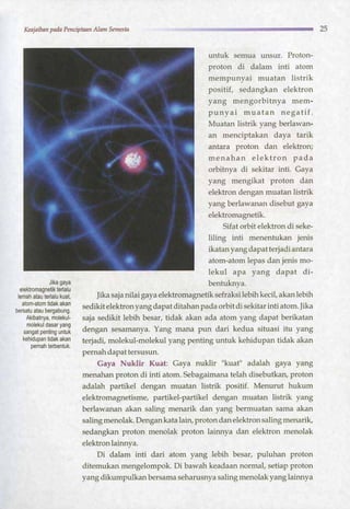 HARUN YAHYA : RANTAI KEAJAIBAN