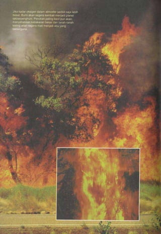 HARUN YAHYA : RANTAI KEAJAIBAN