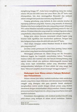 HARUN YAHYA : RANTAI KEAJAIBAN