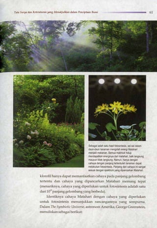 HARUN YAHYA : RANTAI KEAJAIBAN