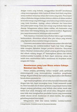 HARUN YAHYA : RANTAI KEAJAIBAN