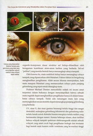 HARUN YAHYA : RANTAI KEAJAIBAN