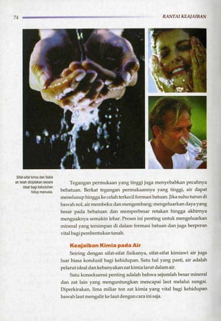 HARUN YAHYA : RANTAI KEAJAIBAN